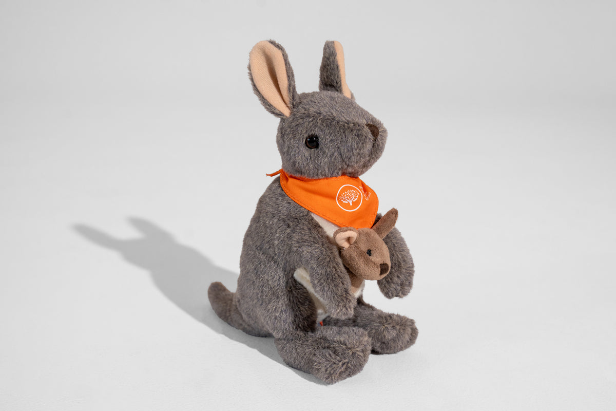RBGV Cranbourne Kangaroo