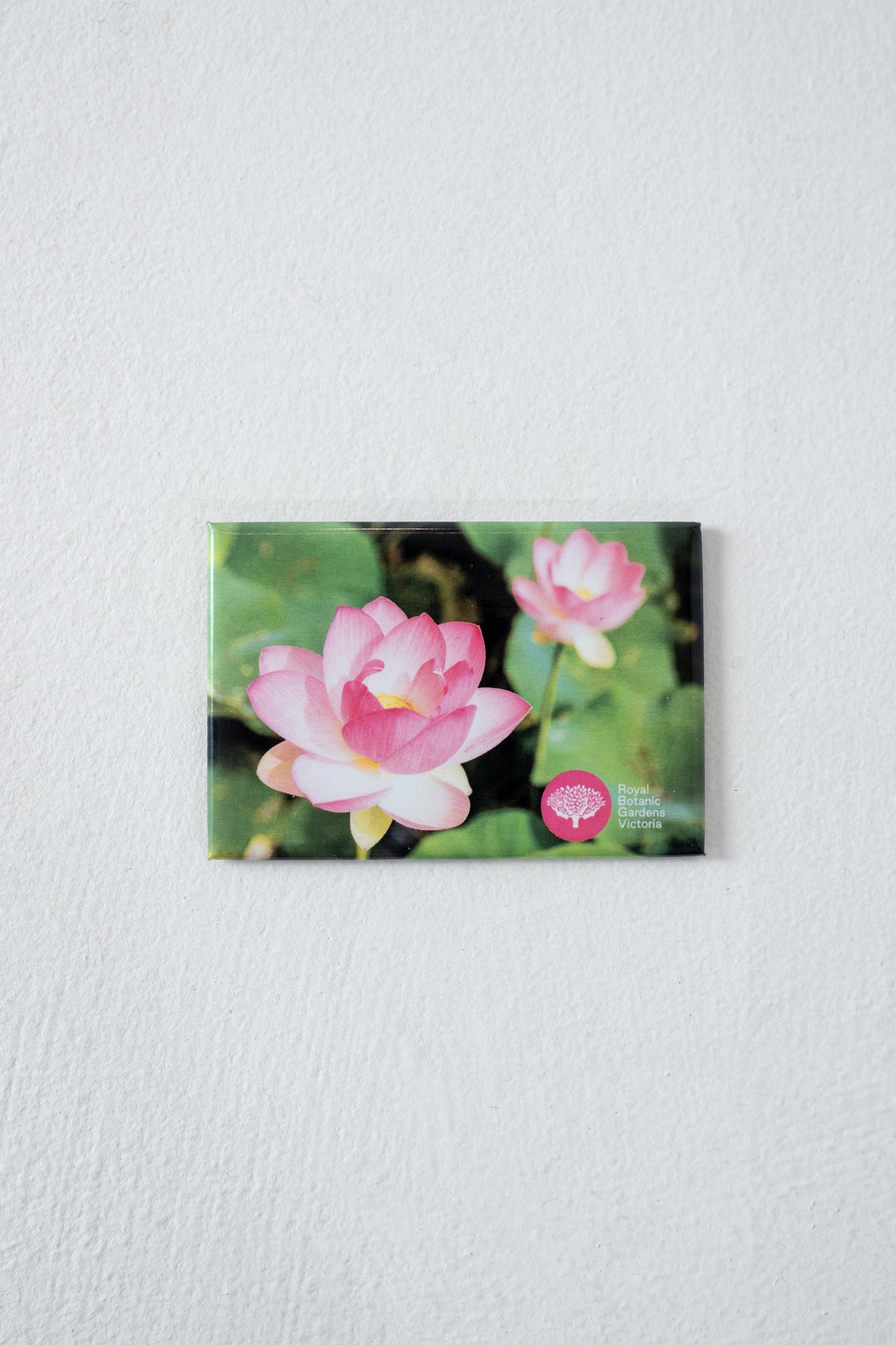 RBGV Pink Lotus Magnet