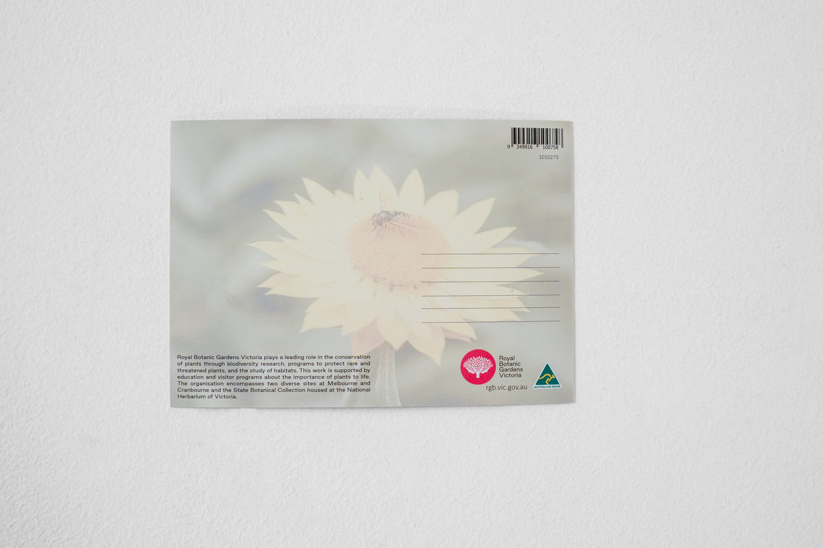 RBGV Postcard