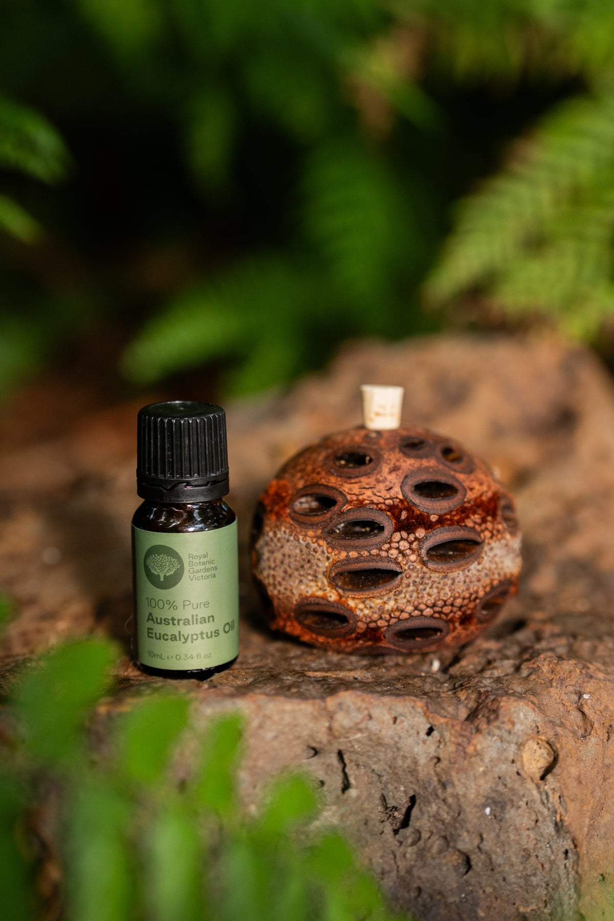 RBGV Mini Aroma Pod & Oil Pack