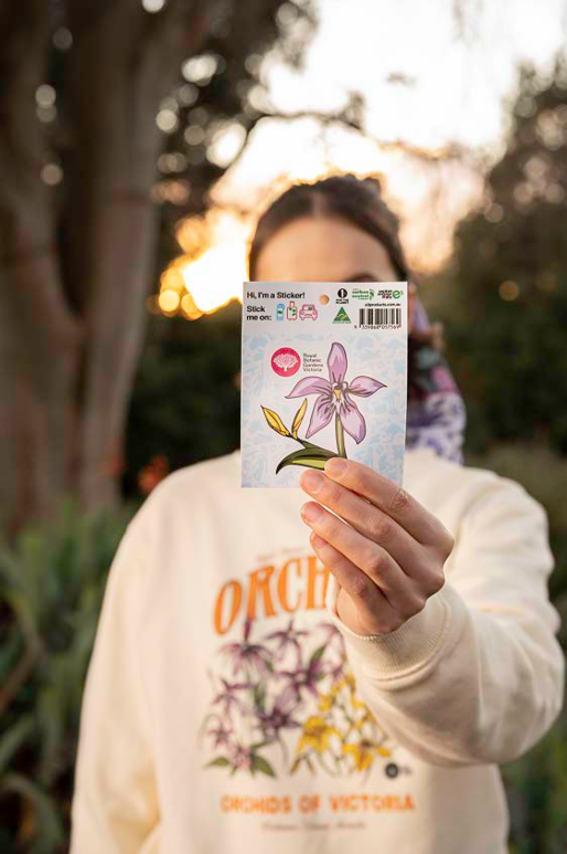 Australian Orchid Sticker