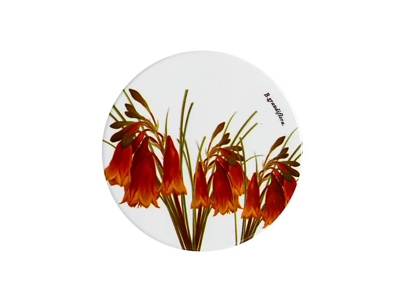 RBGV X Maxwell & Williams Australian Botanics Ceramic Coaster - Christmas Bells