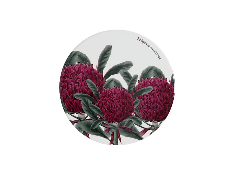 RBGV X Maxwell & Williams Botanic Australian Botanics Coaster - Telopea