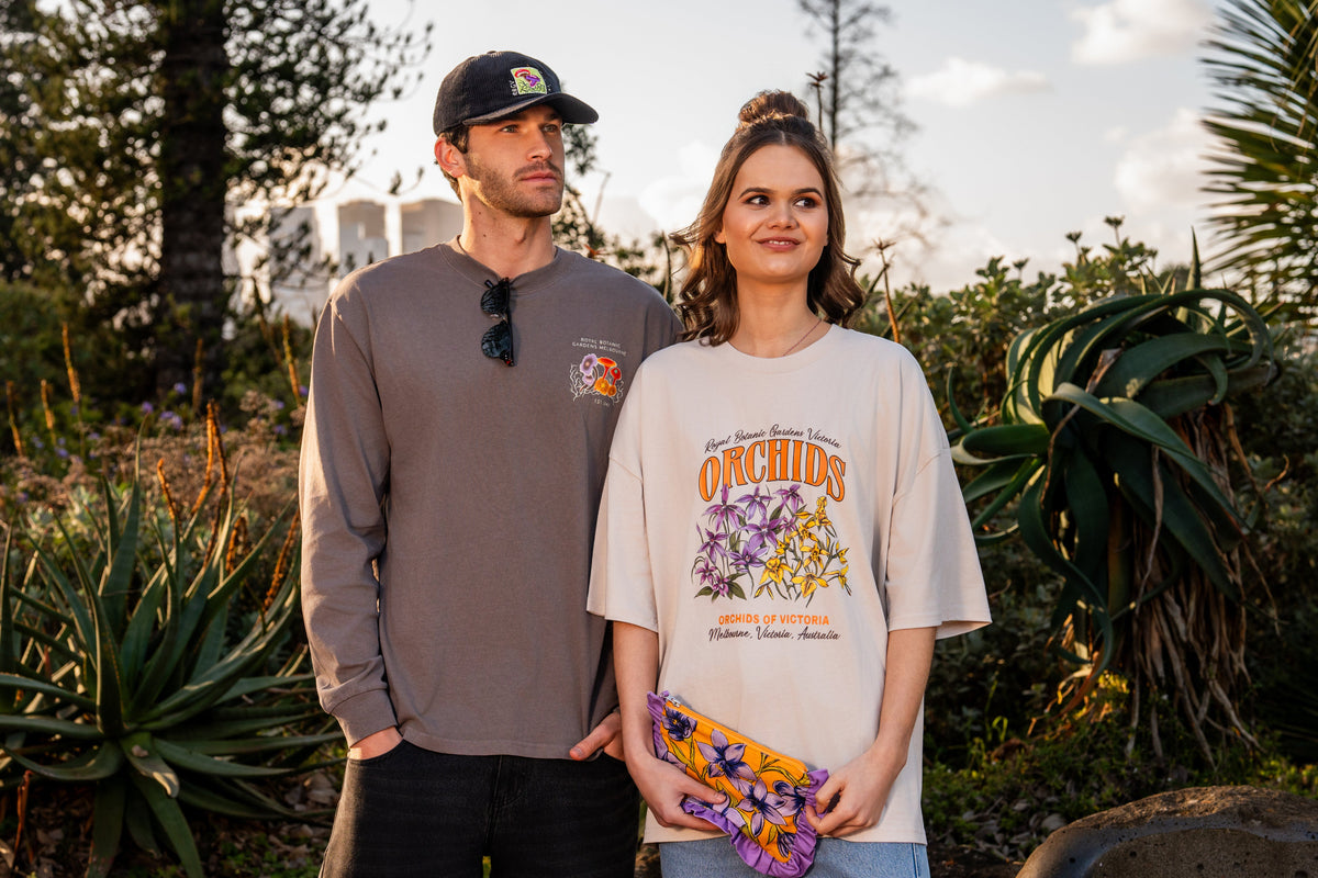 Apparel & Accessories