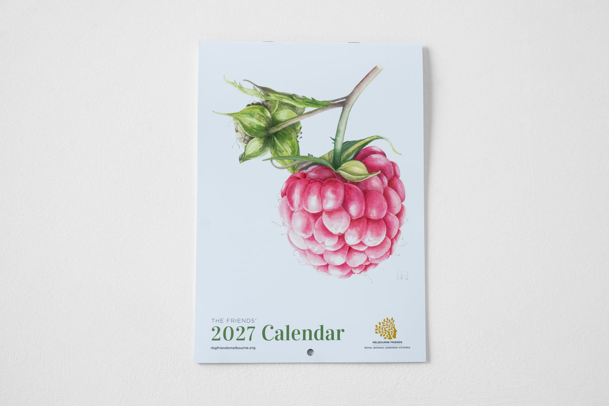 2027 The Friends Calendar