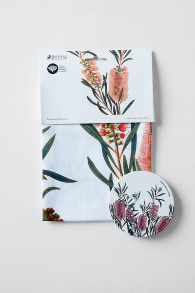 RBGV X  Maxwell & Williams Australian Botanics Tea Towel - Bottlebrush