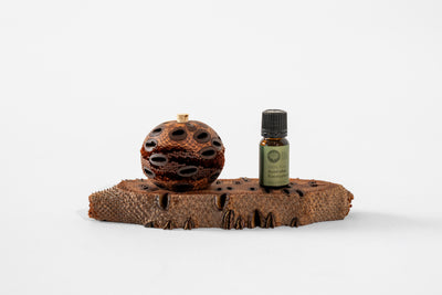 Banksia Australia Stand