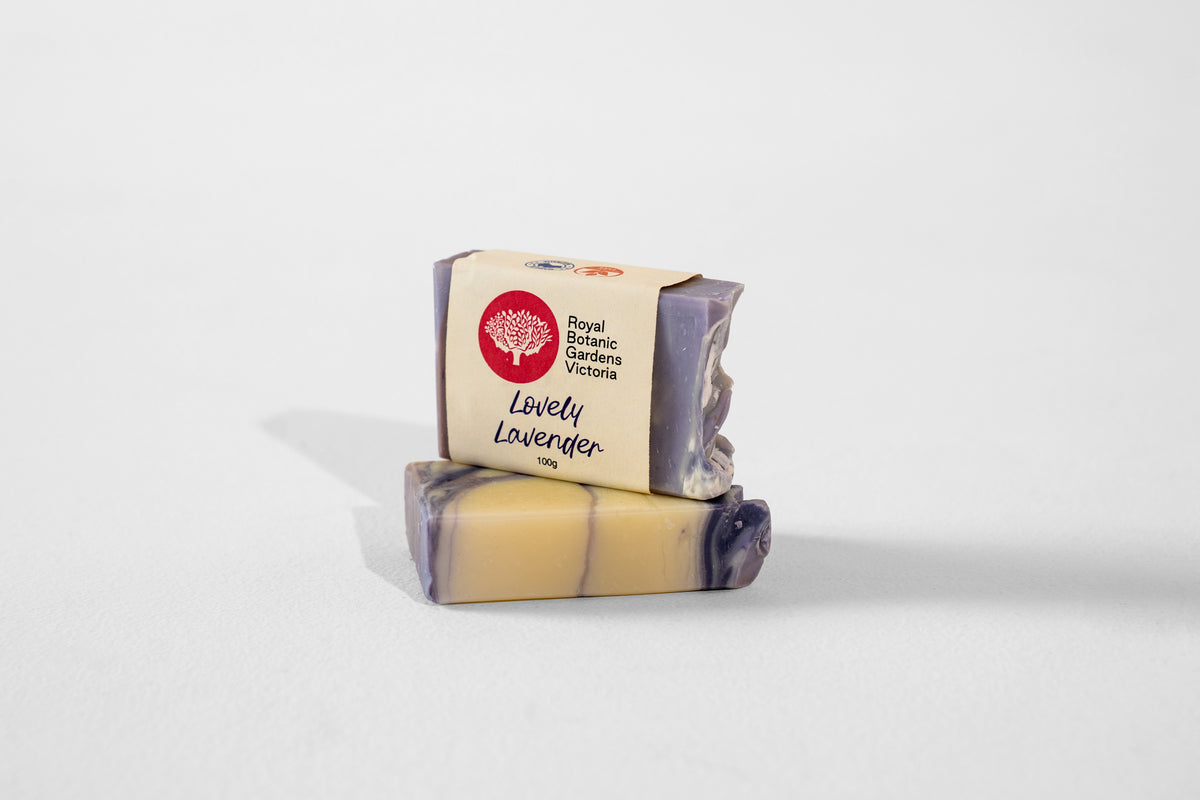 RBGV Essential Oil Soap - Lovely Lavender