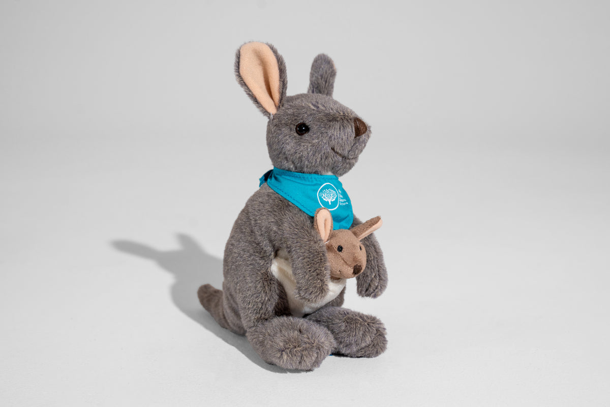 RBGV Melbourne Kangaroo