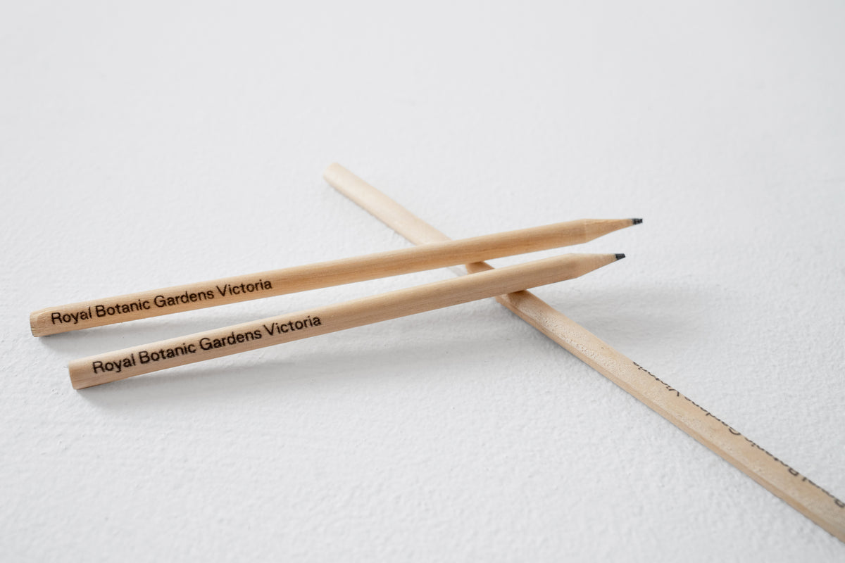 RBGV Grey Lead Pencil
