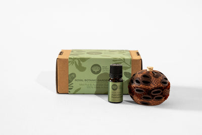 RBGV Mini Aroma Pod & Oil Pack