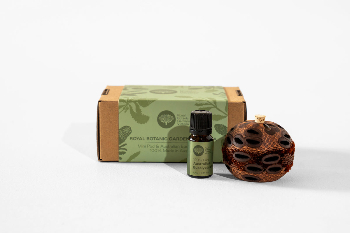 RBGV Mini Aroma Pod & Oil Pack