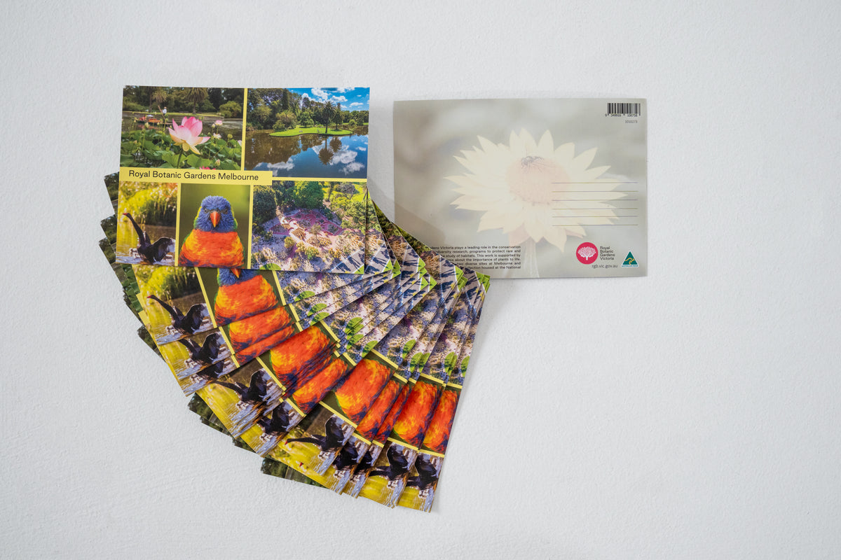 RBGV Postcard