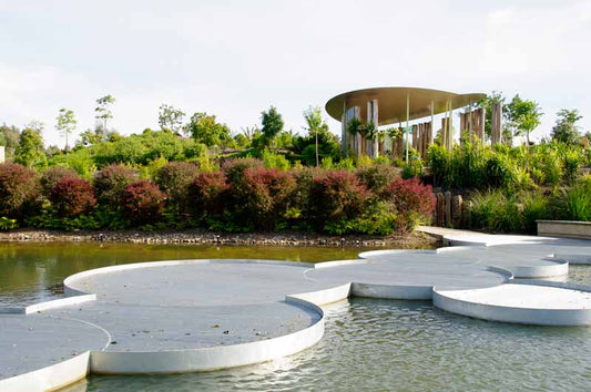 Cranbourne Garden