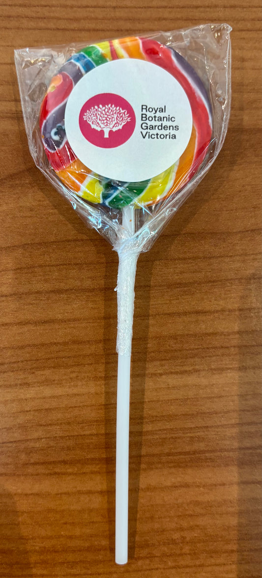 lollipop lightscape 12g
