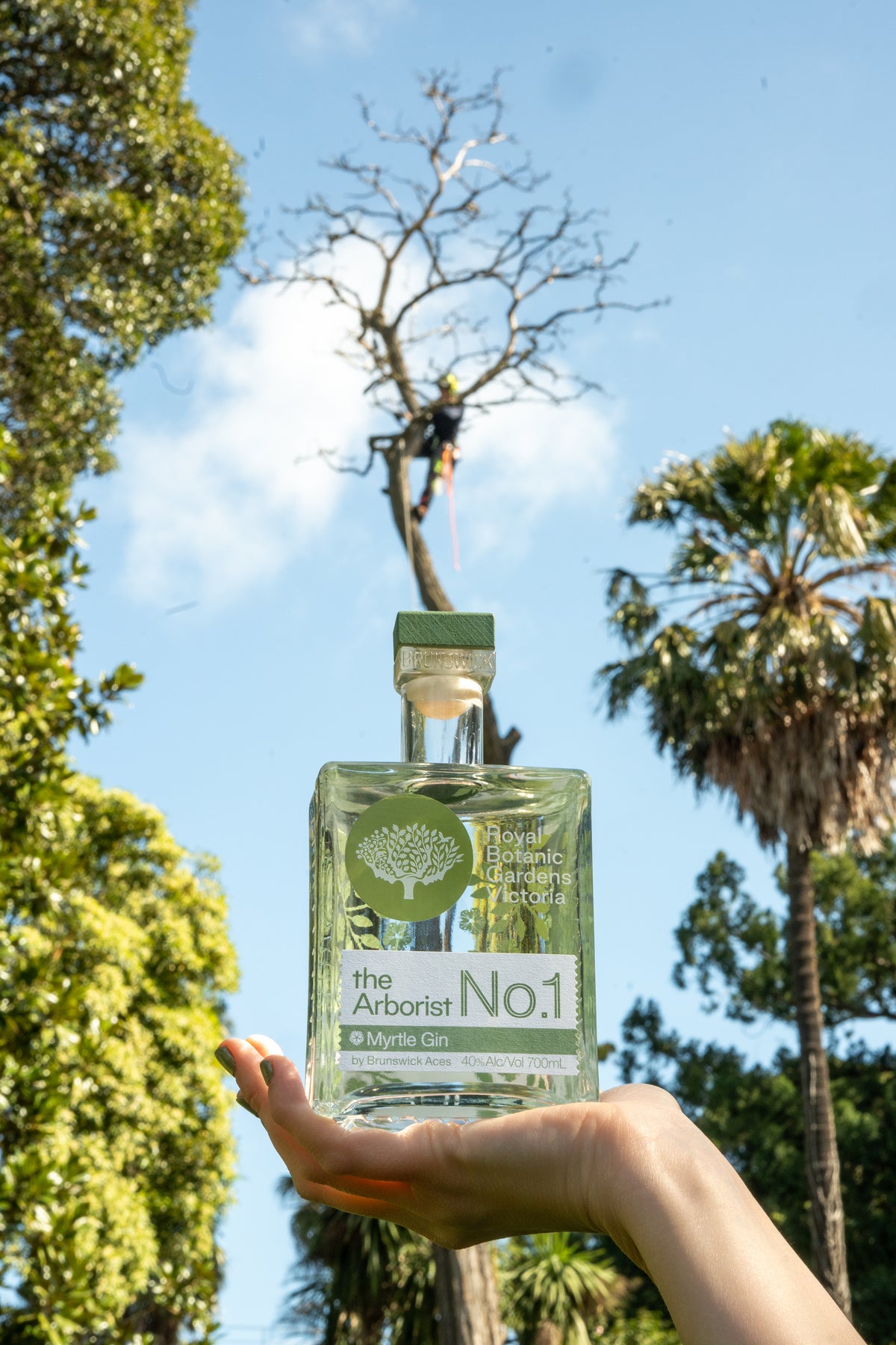 RBGV x Brunswick Aces Gin - Alcoholic