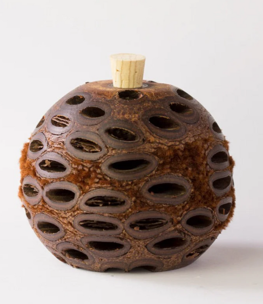 scent pod banksia nut MINI hansen galleries