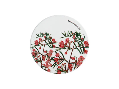 RBGV X Maxwell & Williams Australian Botanics Ceramic Coaster - Boronia