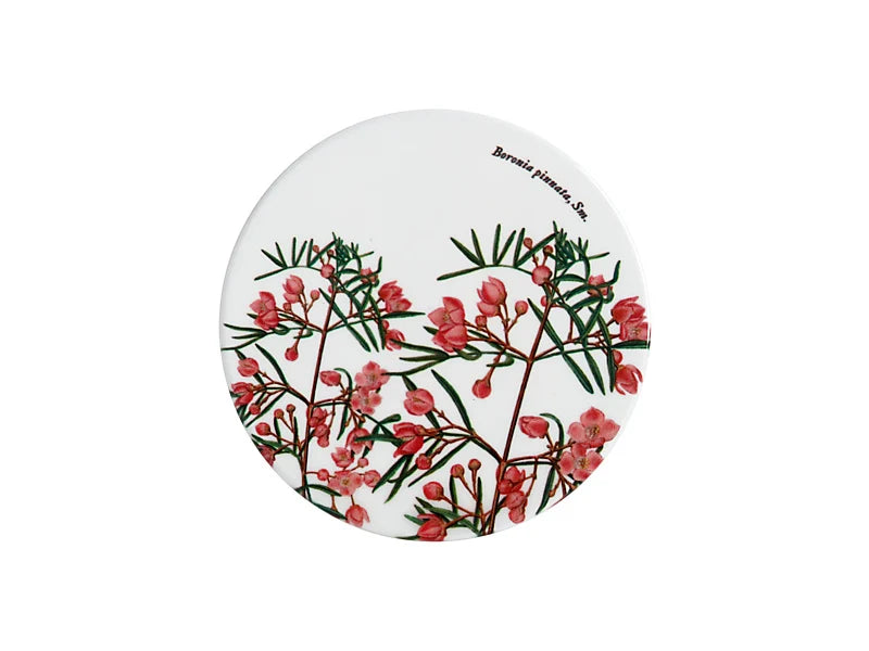 RBGV X Maxwell & Williams Australian Botanics Ceramic Coaster - Boronia