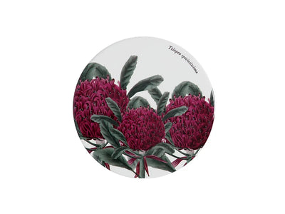 RBGV X Maxwell & Williams Botanic Australian Botanics Coaster - Telopea